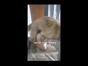 反差婊汇集一堂 各式爆插乱操 爆乳浪穴 第二弹