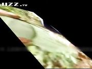 野战混战精彩对白