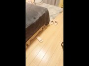 极品姐妹花 每天做爱不停歇 香艳刺激