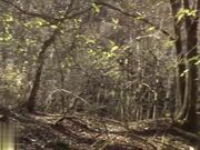 野外做愛身材出眾三十路美熟女滿滿中出