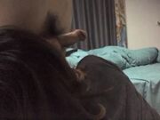 人妻收割机风韵少妇近景口交妩媚勾人的大胸