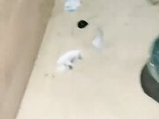 女神约粉丝 KTV疯狂一晚 没有大黑牛就用啤酒瓶 特写粉穴 艳舞 3P 窗口露出