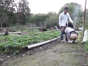 乡下发生的事情1