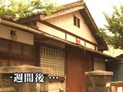 接受体育部所有人的性欲的专用性欲缓解宠物3