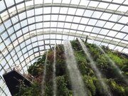 吴梦梦疫情解封后的新加披性爱内射之旅-然后辗转美国体验巨根的快乐之旅！