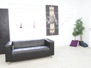 合法色情 莫妮卡 福克斯