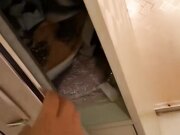 隔壁人妻借洗手间被屌丝男强奸