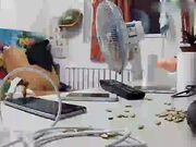 二小情侣出租房大战捅几下舔一舔年轻人属实干的激情