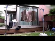 婚姻難以繼續的原因原来是老婆出轨