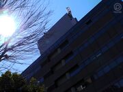 已婚秘书不道德的舔吸合同1