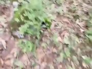 与小姨子冒雨林中性爱 雨水顺着肉棒肆意流淌 与精液一起灌入骚穴