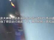 小伙晚上遛狗搭讪贵妇小妞居然成功带回家操了