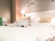 探花精选 约网红小姐姐 美乳白臀 骚气冲天 妖娆骚逼