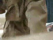 超质量外围少妇 无套只求快射 操太久宁愿退钱