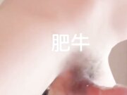 白丝JK萝莉蜜桃臀粉穴被金主无限调教 一条大学生母狗肥牛记录