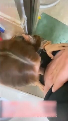 去大姨子家玩两个人干柴烈火激情合体从厕所操到卧室骚逼淫水泛滥少妇就是骚