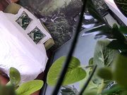 绿叶房没啥性经验的小伙被长发美眉撸硬鸡巴没搞多久就射了