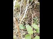 白嫩豪乳神仙姐姐户外凉亭碰到个老司机上来就给舔逼然后再约到树林站着草