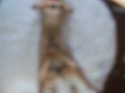 哥哥你快给我，肉丝高跟护士制服女友啪啪高清无水印版