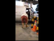 “我的逼要发霉了好久没被操了”真空边开车边抠逼直播去加油问加油员约不约