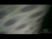 房东大姐的木耳真黑被人玩多了