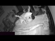 租房子的小情侣做爱被偷拍