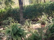 趁着没人公园来一发