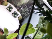 清新自然房不太持久的小伙提前开好房等待苗条年轻长发妹子来打炮听对白貌似是援交妹操完穿衣服就走