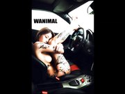 色影大师王动WANIMAL最新官方出品VIP视图作品集之惊艳纹身法拉利女孩 香车美女 嫩鲍美乳 高清1080P