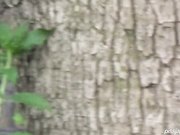 外站最新流出题材类作品长镜头拍公共场合内急的美眉们找个隐蔽处就开始放尿尿量都很足720P高清