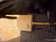 外站最新流出云上会所高清系列牛仔服眼镜妹样子挺招人喜欢