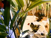 自然房还在军训的大学生情侣抽空开房啪啪啪小伙子花样不少旋转式抽插干的苗条妹子嗲叫不停歇