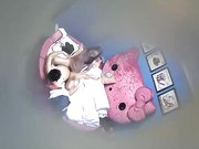 可爱房技校大学生情侣开房造爱苗条妹子很主动啊呻吟非常骚女上位自己疯狂用力猛摇啊啊大叫快要爽哭了