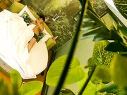 自然房打扮挺潮有点拽的大奶美眉与饥渴小胖开房约炮开始有点矜持等干上了比谁都浪女上位坐个不停操完穿衣就走