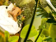 自然房打扮挺潮有点拽的大奶美眉与饥渴小胖开房约炮开始有点矜持等干上了比谁都浪女上位坐个不停操完穿衣就走