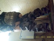 某站最新流出女厕高清露脸几个高颜值美眉戴名表潮妹的卫生纸擦完鼻子再擦逼