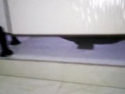 美女在厕所发现自己被偷拍后的真实反应，真实刺激，看的让人忍俊不禁