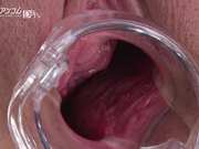 一本道マンコ図鑑 美波ゆさ