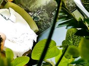 饥渴马尾小少妇与四眼男偷情床上各种大战激情四射