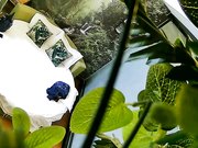 饥渴马尾小少妇与四眼男偷情床上各种大战激情四射