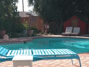 女孩也需要又粗又长的黑鸡巴