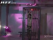 被狂干性虐的黑丝人妻 超爽激情