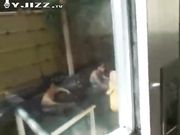 同学聚会 饭后大胆尝试混浴温泉 极品班花被痴汉舔了屄