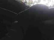 美少妇大白天在莲花上勾搭陌生小哥哥野外大战口爆吞精