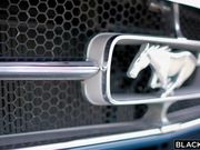 妹子逼肥臀翘看了真想插入进去绝对销魂