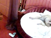 七分裤哥和模特身材女友激情对白清晰呻吟给力