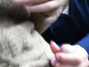 【网曝门事件】欧洲之星高铁露屌诱惑眼睛骚女俯身口交最后口爆吞精