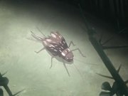 成人动漫“漆黑”性奴