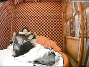 特色宾馆气质美女下班和公司帅气男同事偷偷开房