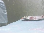 老顾客周六来到路边店泄火真用小卖铺做幌子暗藏后门裹硬开干